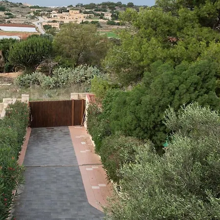 Fun For The Family! * Żebbieħ